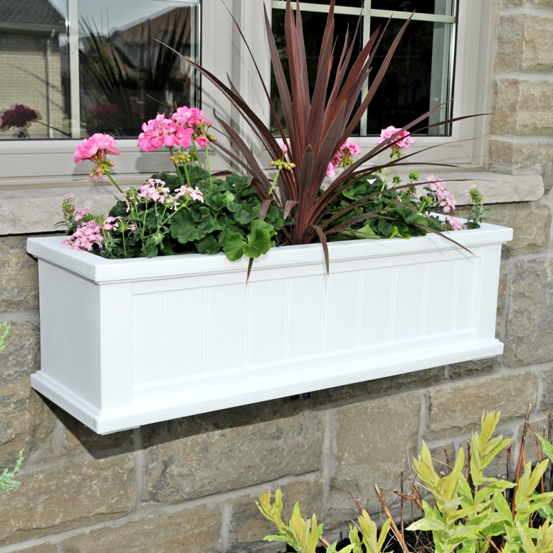 Mayne Inc. Cape Cod SelfWatering Plastic Window Box Planter & Reviews
